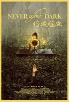 Never After Dark movie poster